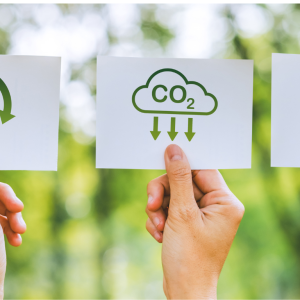 Sustainability in FMCG: From Green Commitments to Profitability